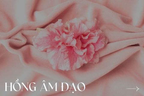 Hồng Âm Đạo